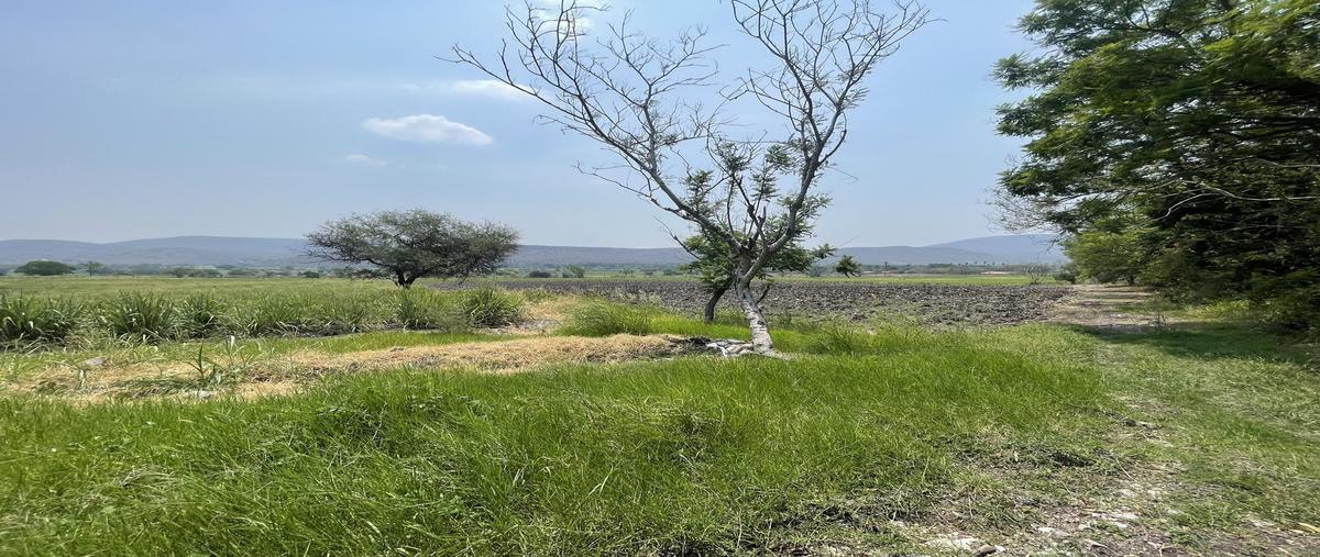 Foto de terreno habitacional en venta en  , residencial yautepec, yautepec, morelos, 0 No. 05