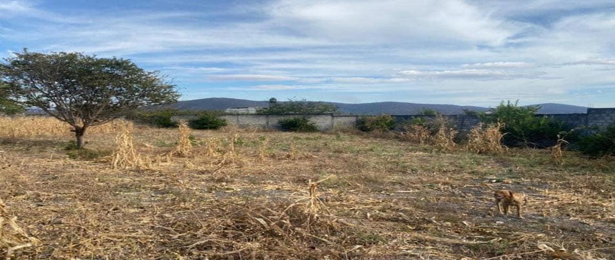 Foto de terreno habitacional en venta en  , residencial yautepec, yautepec, morelos, 0 No. 03