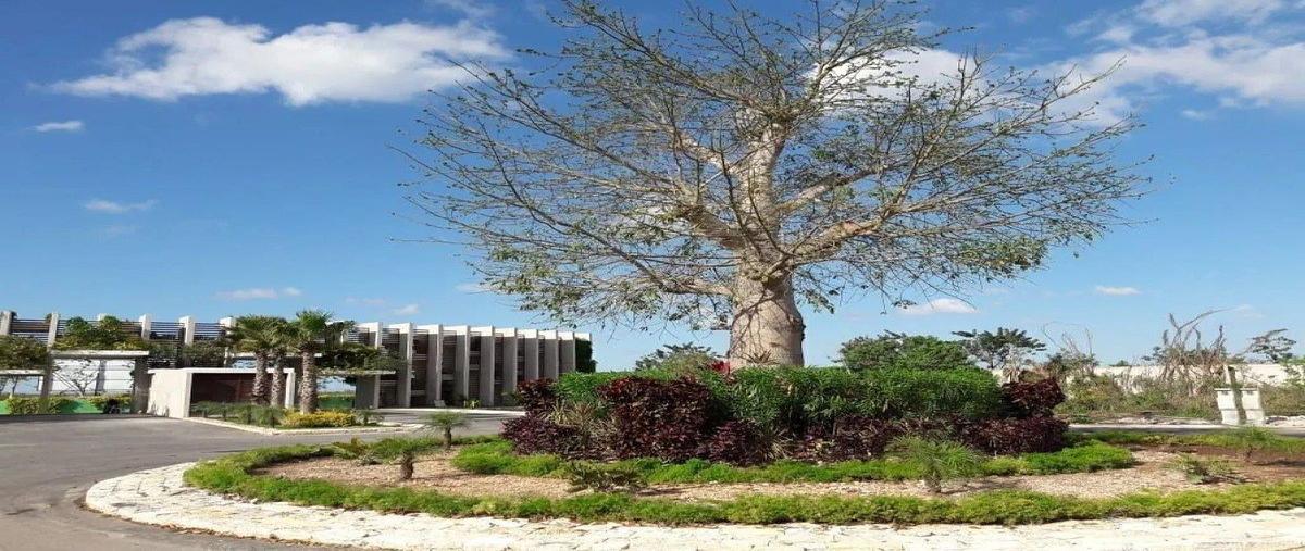 Foto de terreno habitacional en venta en residencial yaxlum , yaxkukul, yaxkukul, yucatán, 0 No. 03