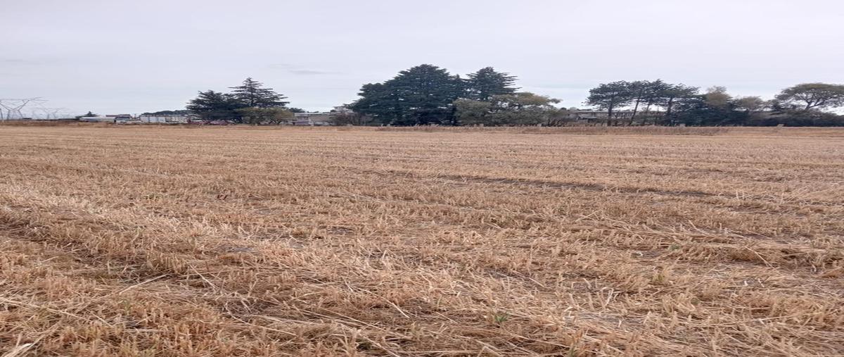 Foto de terreno habitacional en venta en  , residencial zinacantepec, zinacantepec, méxico, 0 No. 04