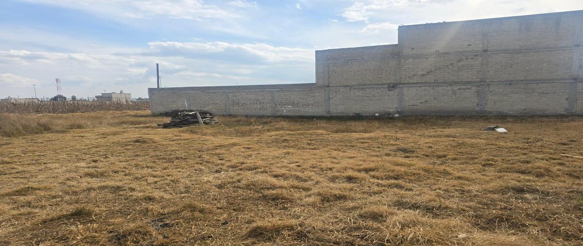 Foto de terreno habitacional en venta en  , residencial zinacantepec, zinacantepec, méxico, 0 No. 03