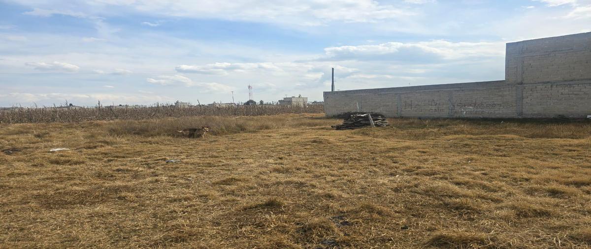 Foto de terreno habitacional en , residencial zinacantepec, zinacantepec, méxico, 0 foto 02 Foto de terreno habitacional en venta en , residencial zinacantepec, zinacantepec, méxico, 0 No. 02