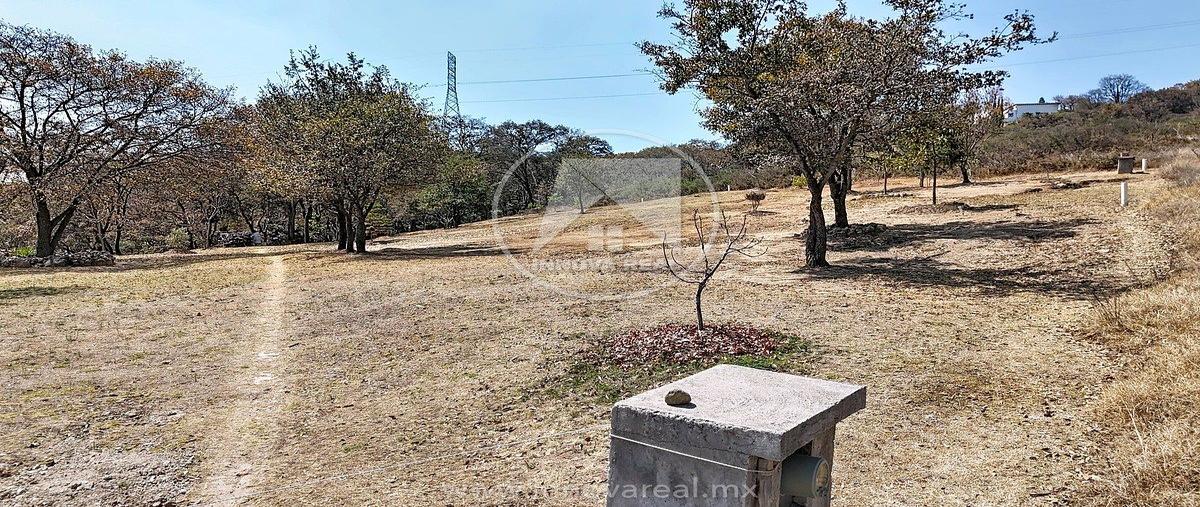 Foto de terreno habitacional en retorno de bosque real , fincas de sayavedra, atizapán de zaragoza, méxico, 0 foto 03 Foto de terreno habitacional en venta en retorno de bosque real , fincas de sayavedra, atizapán de zaragoza, méxico, 0 No. 03