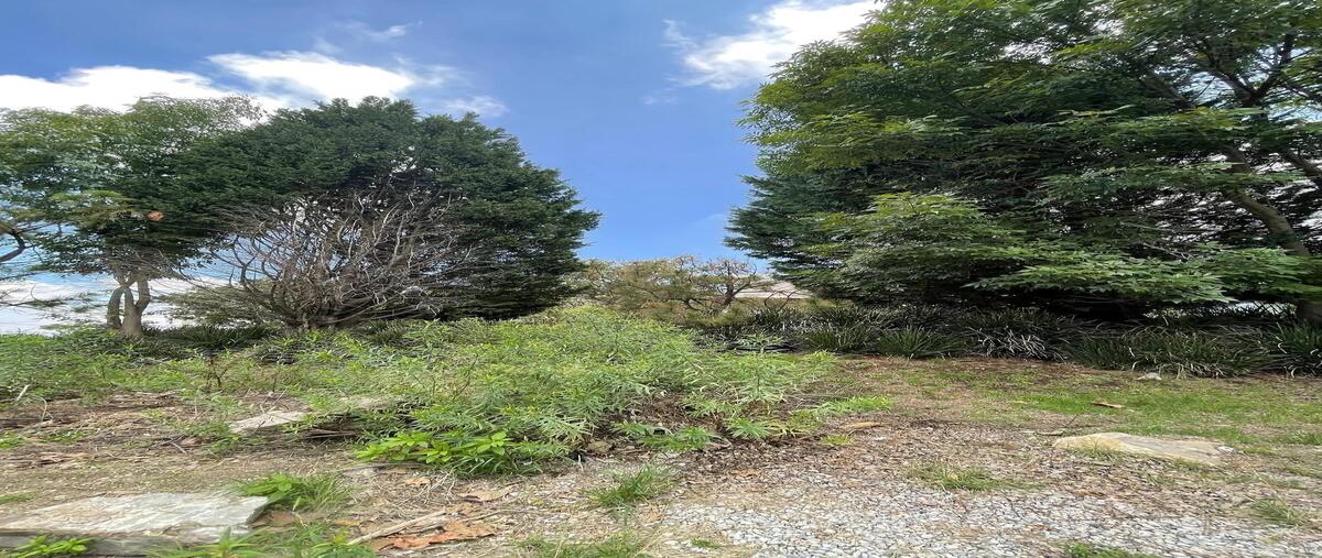 Foto de terreno habitacional en retorno de la cañada , el centarro, tlajomulco de zúñiga, jalisco, 28825303 foto 05 Foto de terreno habitacional en venta en retorno de la cañada , el centarro, tlajomulco de zúñiga, jalisco, 28825303 No. 05