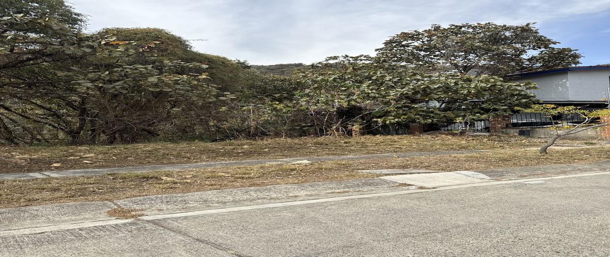 Foto de terreno habitacional en venta en retorno de las águilas , el palomar secc bosques, tlajomulco de zúñiga, jalisco, 29225303 No. 04