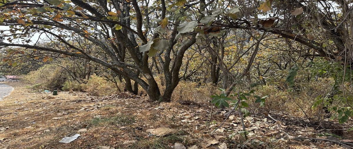 Foto de terreno habitacional en venta en retorno de las águilas , el palomar secc bosques, tlajomulco de zúñiga, jalisco, 29225303 No. 05