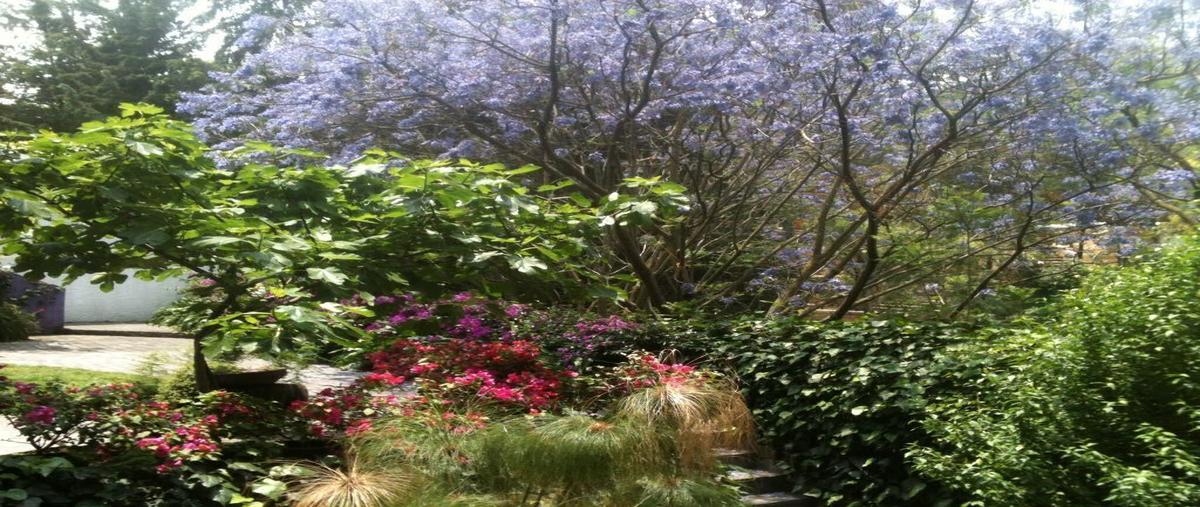 Foto de casa en venta en retorno julieta , lomas de chapultepec viii sección, miguel hidalgo, df / cdmx, 29095509 No. 03