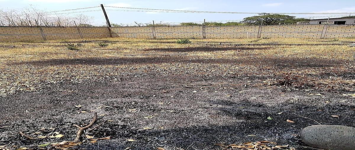 Foto de terreno habitacional en venta en retorno nuevo cocoyoc , ejidal tezoquipa, yautepec, morelos, 0 No. 07