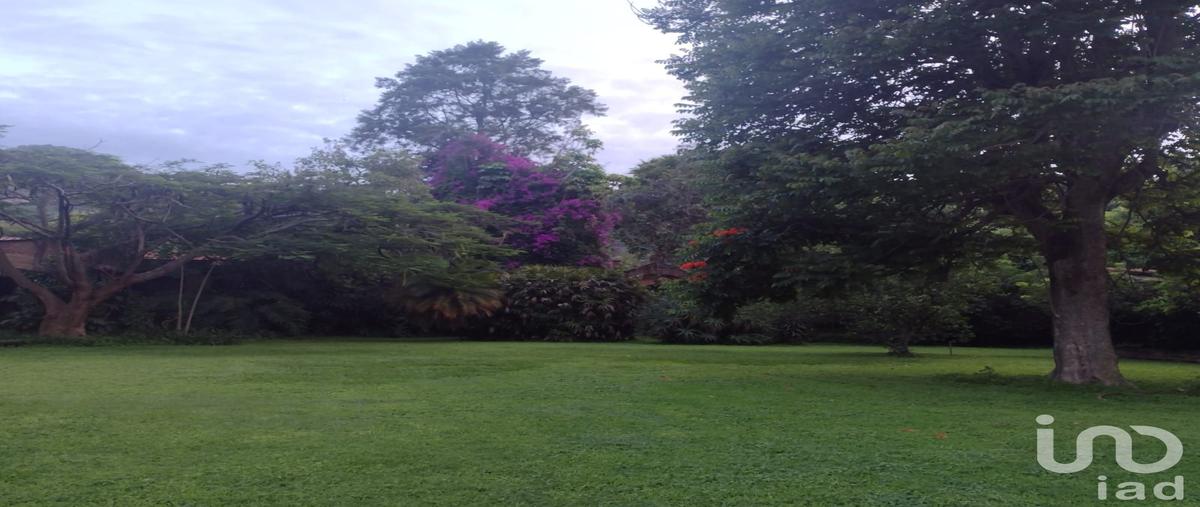 Foto de terreno habitacional en revolución de 1910 2612, san miguel, tepoztlán, morelos, 28720039 foto 02 Foto de terreno habitacional en venta en revolución de 1910 2612, san miguel, tepoztlán, morelos, 28720039 No. 02