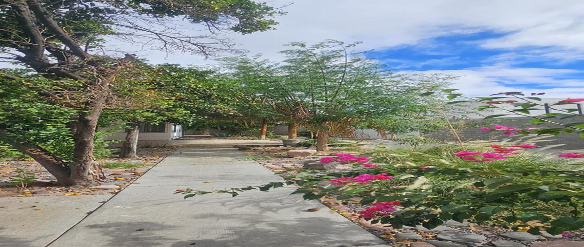 Foto de casa en renta en revolucion de 1910 , pueblo nuevo, la paz, baja california sur, 0 No. 05