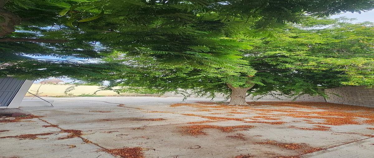 Foto de casa en renta en revolucion de 1910 , pueblo nuevo, la paz, baja california sur, 31065238 No. 04