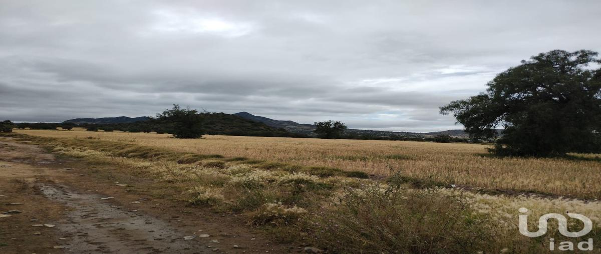 Foto de terreno comercial en venta en revolución , jagüey de téllez (estación téllez), zempoala, hidalgo, 28723732 No. 03