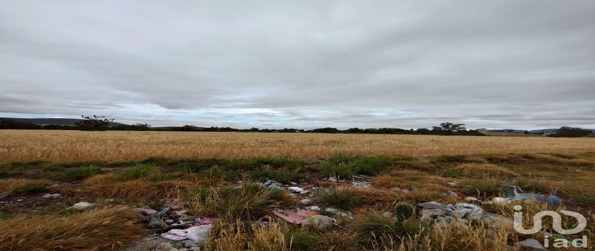 Foto de terreno comercial en venta en revolución , jagüey de téllez (estación téllez), zempoala, hidalgo, 28723732 No. 04