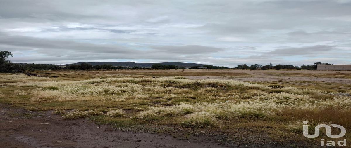 Foto de terreno comercial en venta en revolución , jagüey de téllez (estación téllez), zempoala, hidalgo, 28723732 No. 05