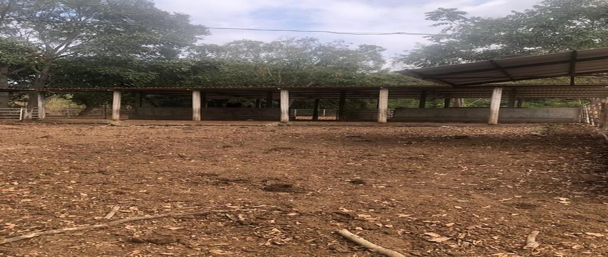 Foto de rancho en venta en  , revolución mexicana, villa corzo, chiapas, 25965346 No. 03