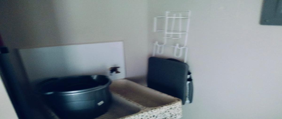 Foto de departamento en renta en revolucion , san pedro de los pinos, benito juárez, df / cdmx, 31805610 No. 07