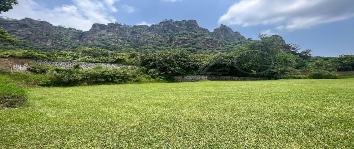 Foto de terreno habitacional en venta en revolucion , santo domingo, tepoztlán, morelos, 27951792 No. 05