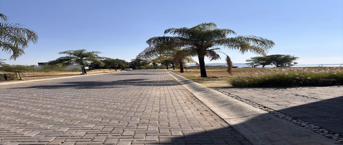 Foto de terreno habitacional en venta en rey baltazar , la noria de los reyes, tlajomulco de zúñiga, jalisco, 0 No. 05