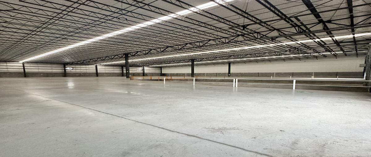 Foto de bodega en renta en reynosa , balcones de huinalá, apodaca, nuevo león, 0 No. 03