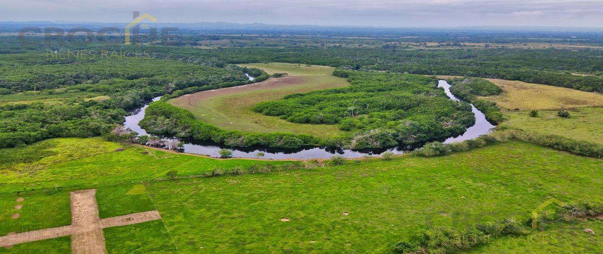 Foto de terreno habitacional en venta en  , riachuelo, tecolutla, veracruz de ignacio de la llave, 29816746 No. 03