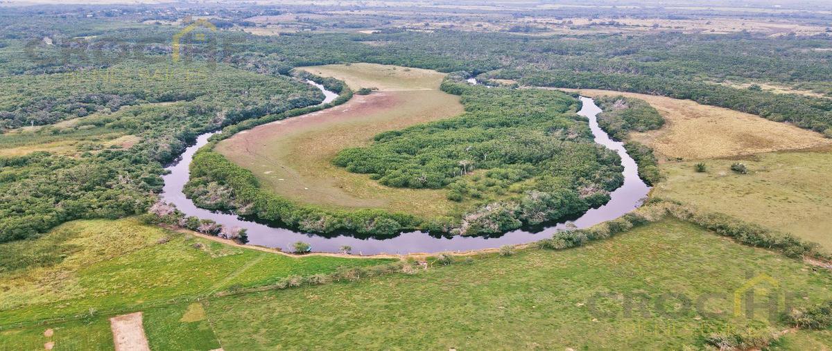 Foto de terreno habitacional en venta en  , riachuelo, tecolutla, veracruz de ignacio de la llave, 29816746 No. 04