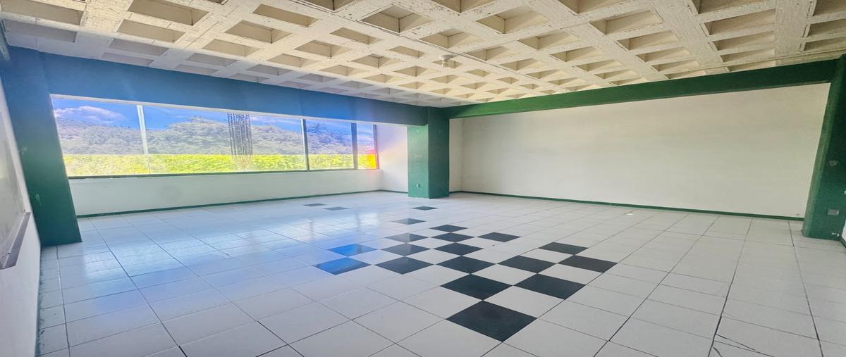 Foto de edificio en renta en riberas del atoyac , san martín mexicapan, oaxaca de juárez, oaxaca, 0 No. 04