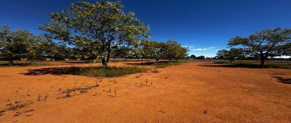 Foto de rancho en , riberas del sacramento, chihuahua, chihuahua, 0 foto 05 Foto de rancho en venta en , riberas del sacramento, chihuahua, chihuahua, 0 No. 05