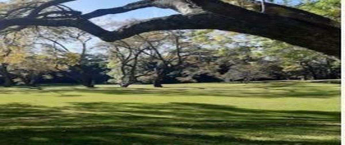 Foto de departamento en venta en  , ricardo flores magón, cuernavaca, morelos, 0 No. 05