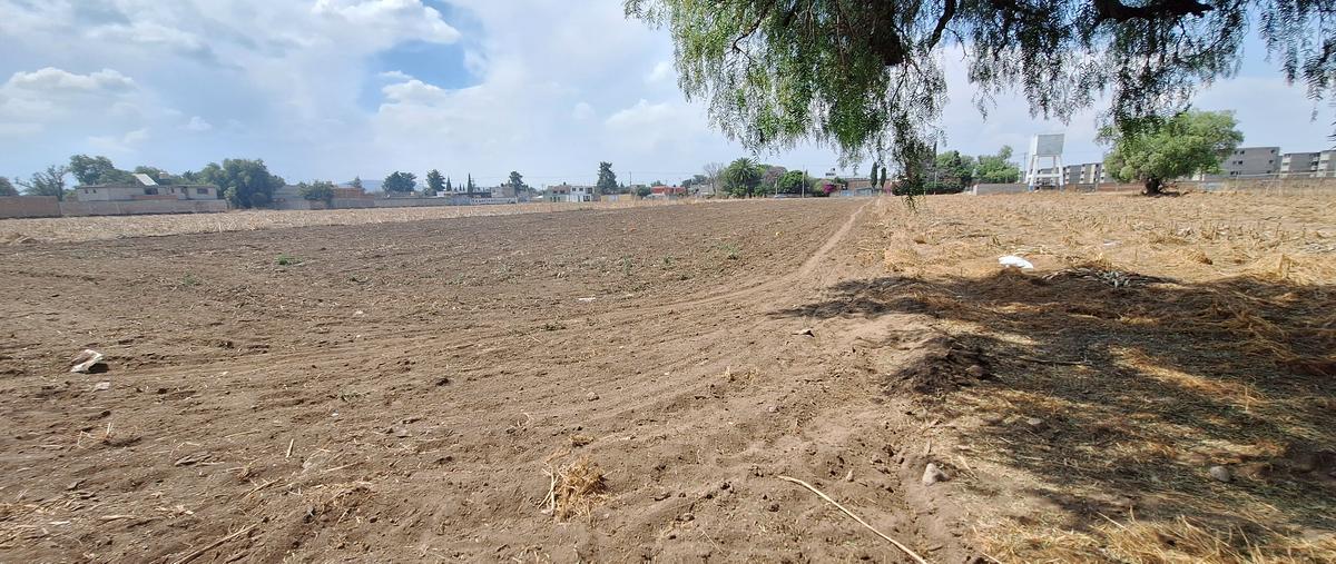 Foto de terreno comercial en venta en ricardo flores magon , santiago cuautlalpan, texcoco, méxico, 29379665 No. 03