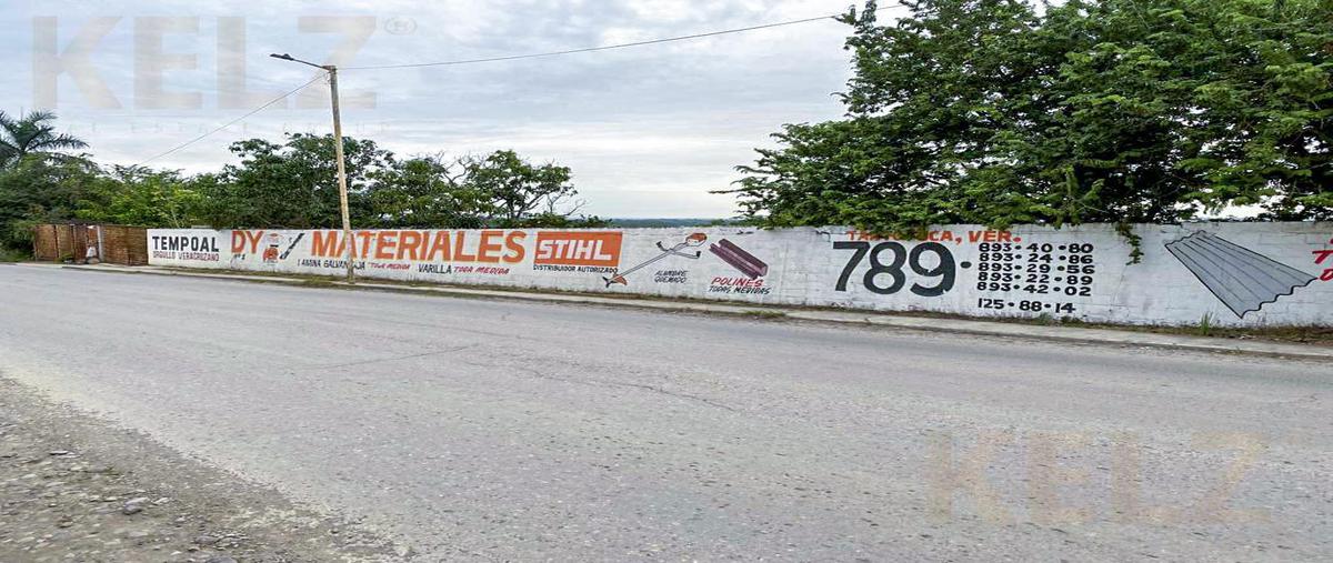 Foto de terreno habitacional en venta en  , ricardo flores magón, tempoal, veracruz de ignacio de la llave, 26096552 No. 05