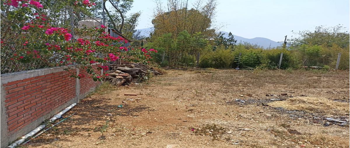 Foto de terreno habitacional en venta en  , riconada san pablo, san pablo etla, oaxaca, 24965071 No. 03