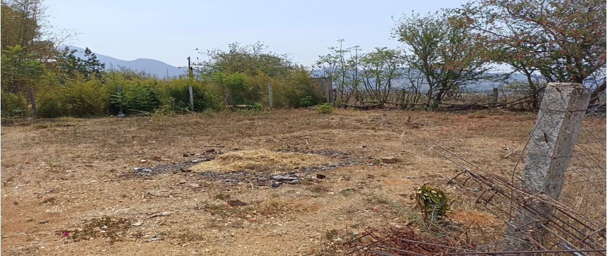 Foto de terreno habitacional en venta en  , riconada san pablo, san pablo etla, oaxaca, 24965071 No. 04