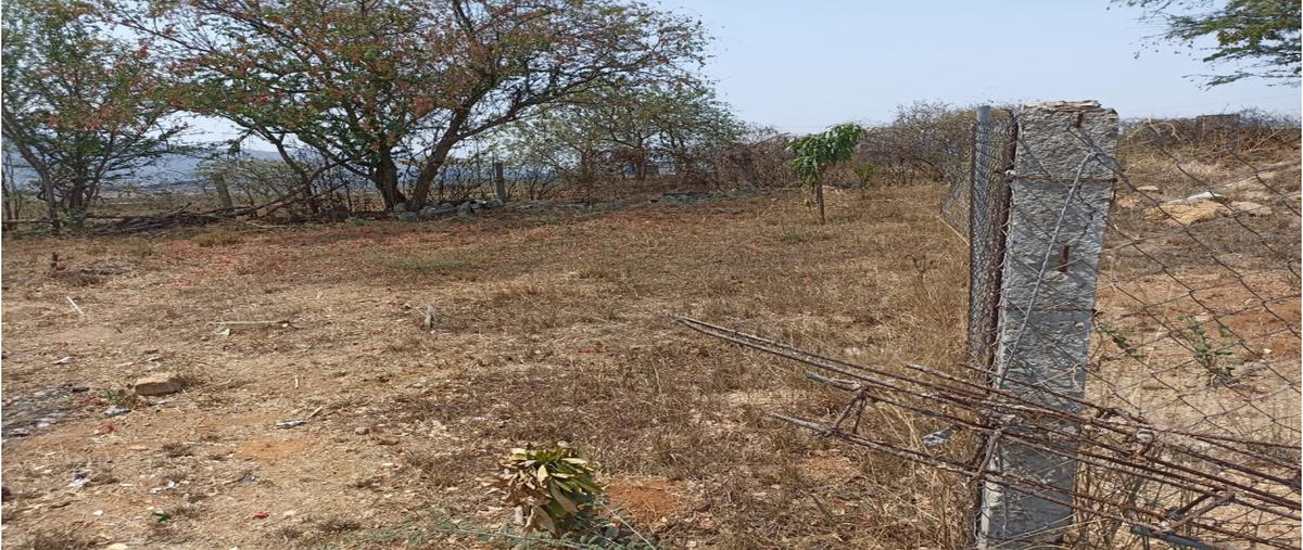 Foto de terreno habitacional en venta en  , riconada san pablo, san pablo etla, oaxaca, 24965071 No. 05