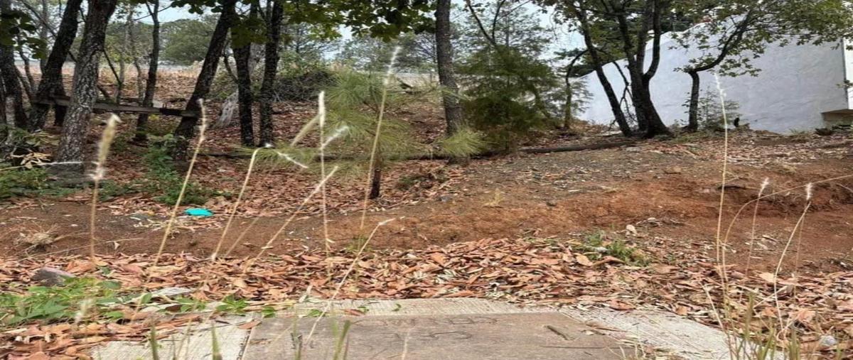 Foto de terreno habitacional en venta en  , rincón de altozano, morelia, michoacán de ocampo, 0 No. 03