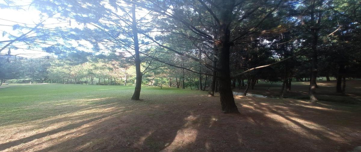 Foto de casa en renta en  , rincón de altozano, morelia, michoacán de ocampo, 0 No. 03