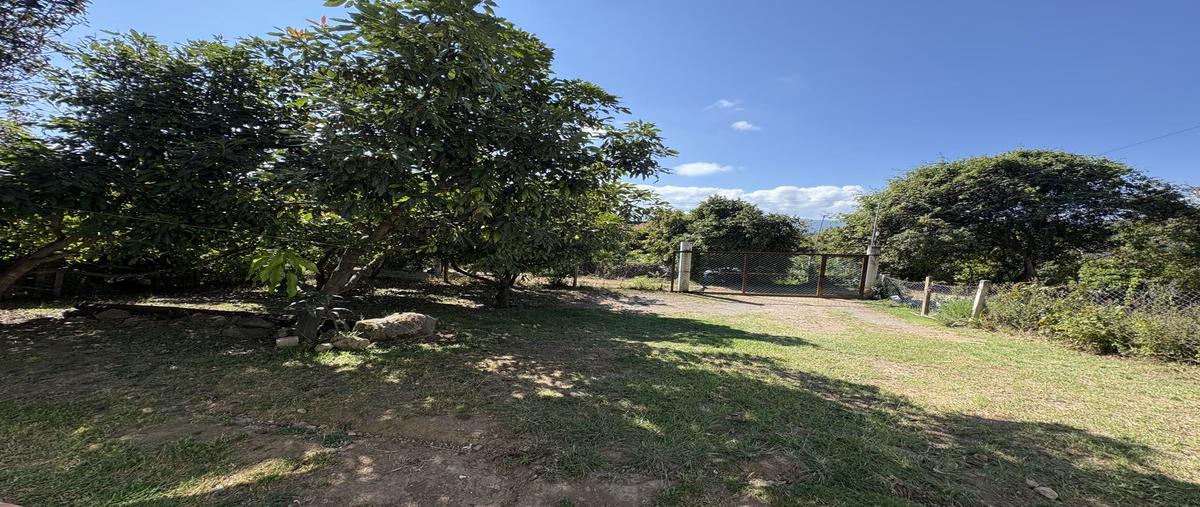 Foto de casa en renta en  , rincón de estradas, valle de bravo, méxico, 0 No. 03