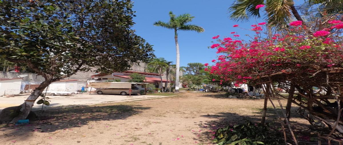 Foto de terreno habitacional en venta en  , rincón de guayabitos, compostela, nayarit, 0 No. 05