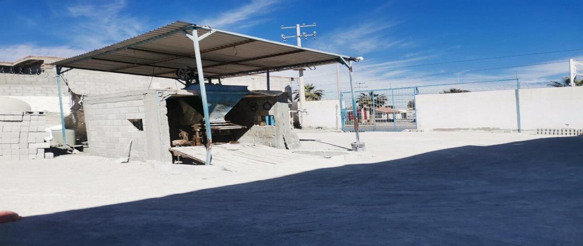 Foto de local en renta en  , rincón de la merced, torreón, coahuila de zaragoza, 0 No. 03