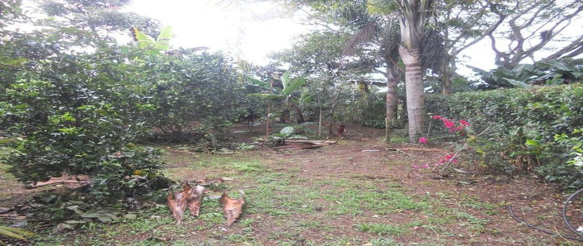 Foto de terreno comercial en venta en  , rincón de las huertas, santa catarina, nuevo león, 30298421 No. 03