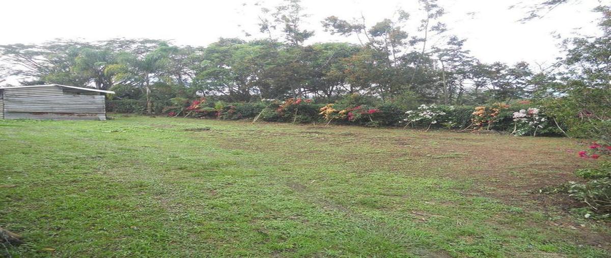 Foto de terreno comercial en venta en  , rincón de las huertas, santa catarina, nuevo león, 30298421 No. 05