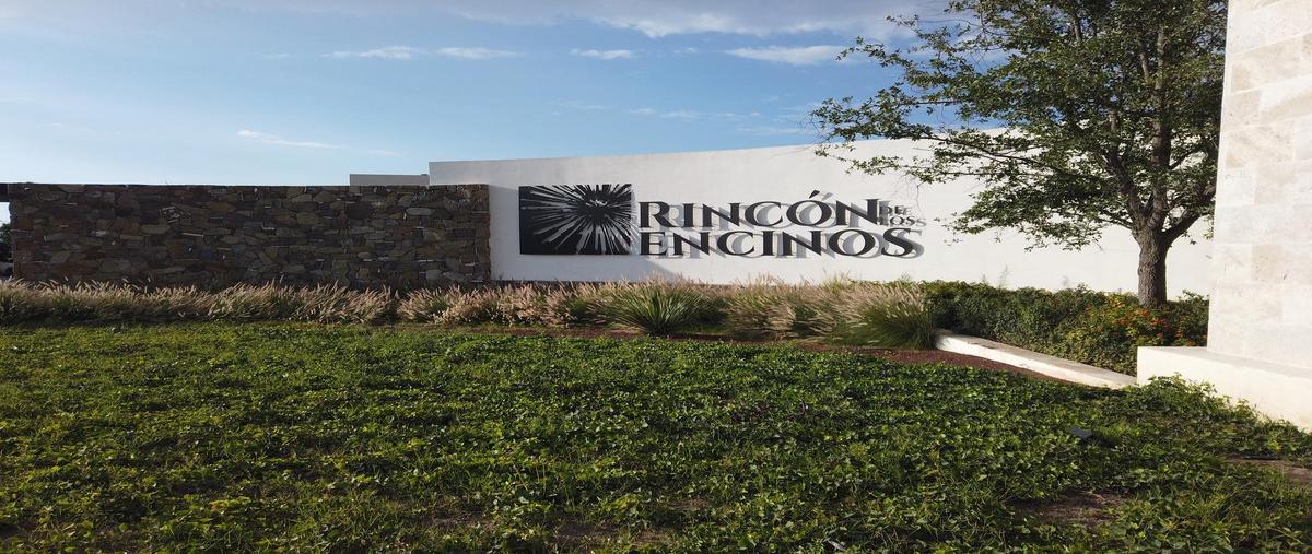 Foto de casa en venta en  , rincón de los encinos, saltillo, coahuila de zaragoza, 0 No. 05