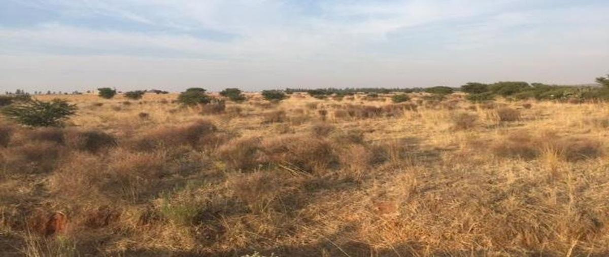 Foto de terreno habitacional en venta en rincon de romo-guadalupe , san jerónimo, guadalupe, zacatecas, 0 No. 03