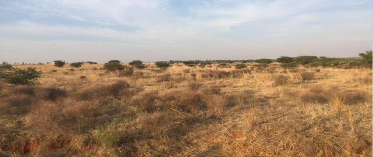 Foto de terreno habitacional en venta en rincon de romo-guadalupe , san jerónimo, guadalupe, zacatecas, 0 No. 05