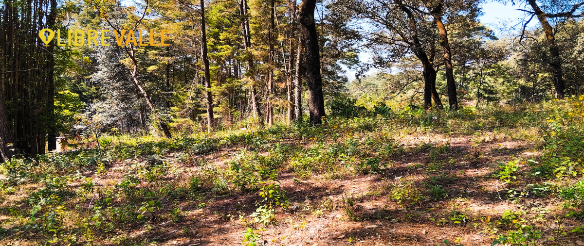 Foto de terreno habitacional en rincón del bosque , avándaro, valle de bravo, méxico, 26928633 foto 03 Foto de terreno habitacional en venta en rincón del bosque , avándaro, valle de bravo, méxico, 26928633 No. 03
