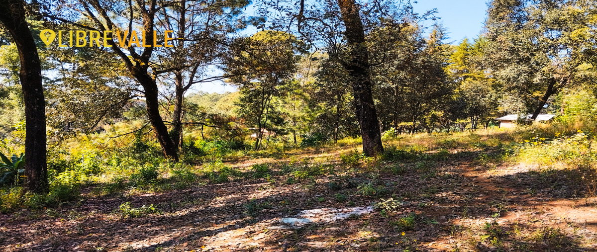 Foto de terreno habitacional en rincón del bosque , avándaro, valle de bravo, méxico, 26928633 foto 04 Foto de terreno habitacional en venta en rincón del bosque , avándaro, valle de bravo, méxico, 26928633 No. 04
