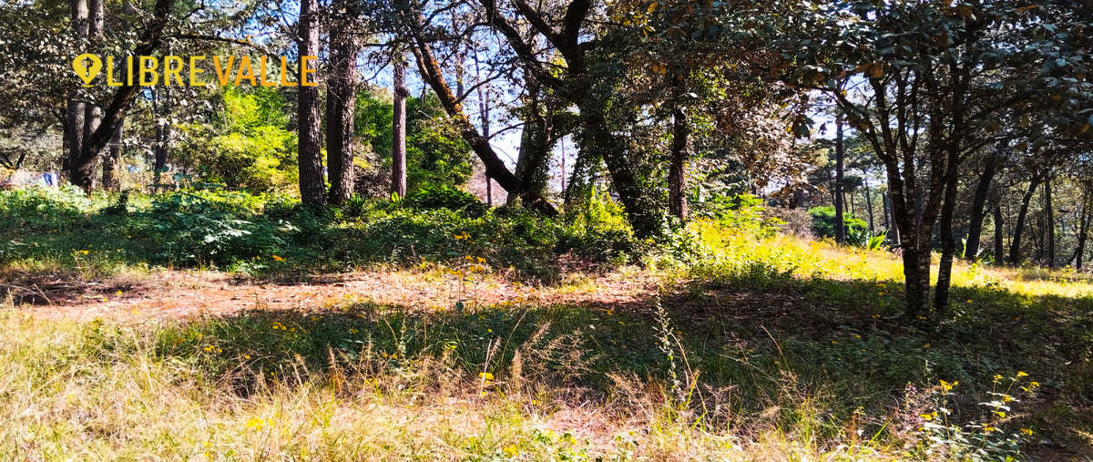Foto de terreno habitacional en rincón del bosque , avándaro, valle de bravo, méxico, 26928633 foto 05 Foto de terreno habitacional en venta en rincón del bosque , avándaro, valle de bravo, méxico, 26928633 No. 05