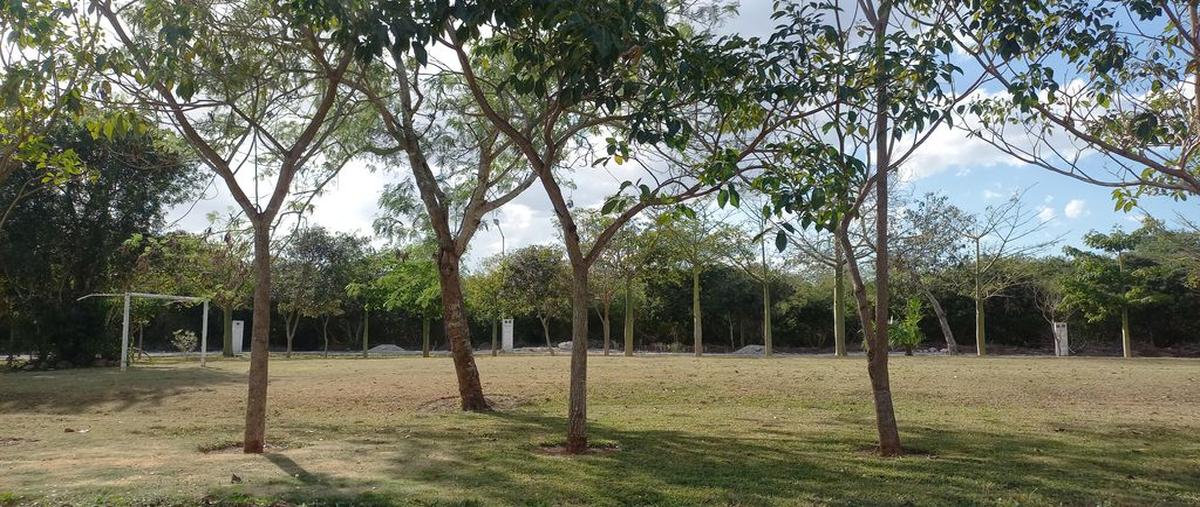 Foto de terreno habitacional en venta en rincon paraiso , campestre flamboyanes, progreso, yucatán, 26462692 No. 05