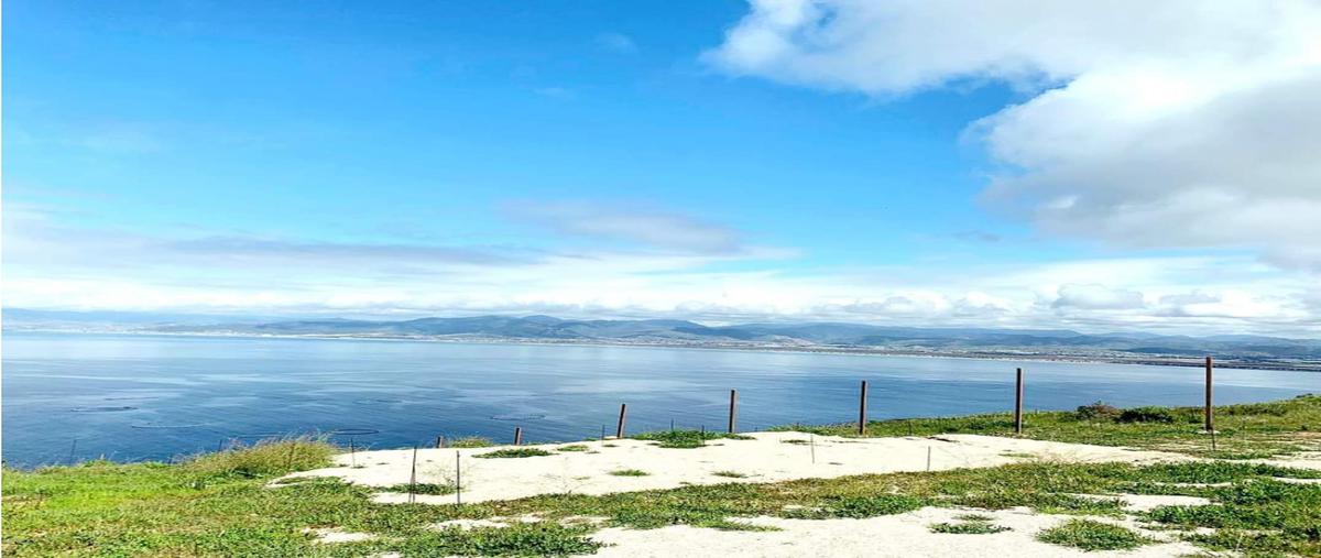 Foto de edificio en venta en  , rincón punta banda (rincón de ballenas), ensenada, baja california, 26237240 No. 04