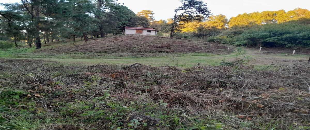 Foto de terreno habitacional en rincon , rincón de estradas, valle de bravo, méxico, 0 foto 02 Foto de terreno habitacional en venta en rincon , rincón de estradas, valle de bravo, méxico, 0 No. 02