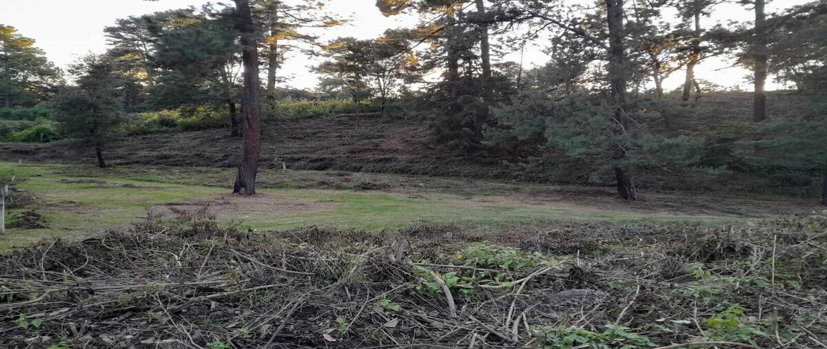 Foto de terreno habitacional en rincon , rincón de estradas, valle de bravo, méxico, 0 foto 03 Foto de terreno habitacional en venta en rincon , rincón de estradas, valle de bravo, méxico, 0 No. 03